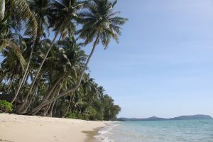 working in Thailand