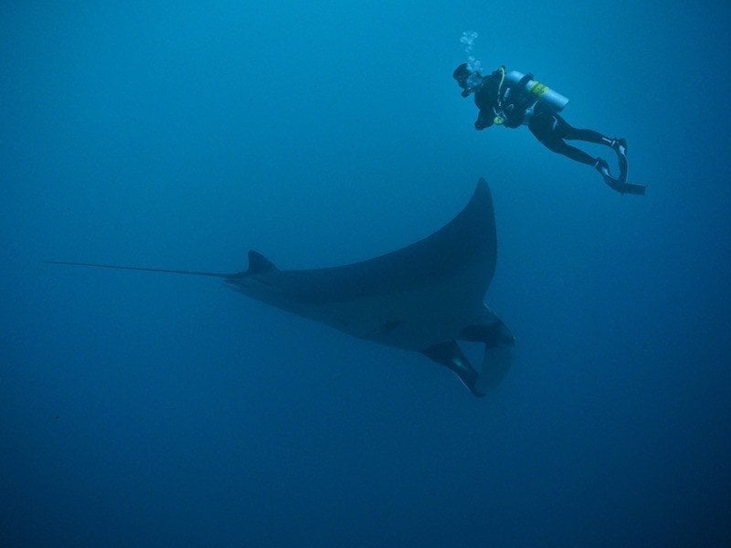 phuket diving