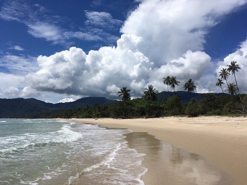 southern-thailand-beach-clouds-coconut-palms