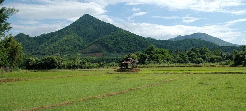 thailand-green-season-rice-field-mountain