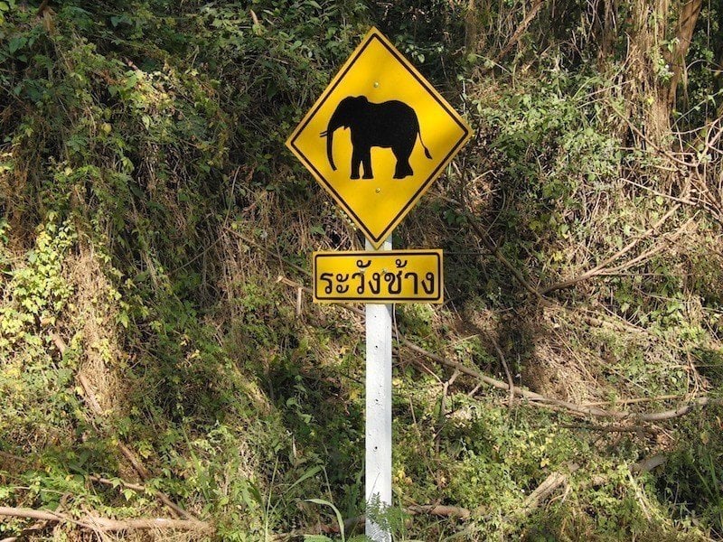 elephant-crossing-sign