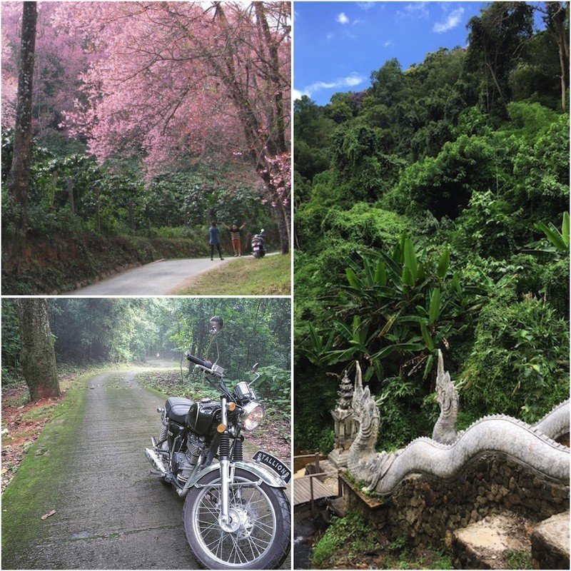 doi-suthep-doi-pui