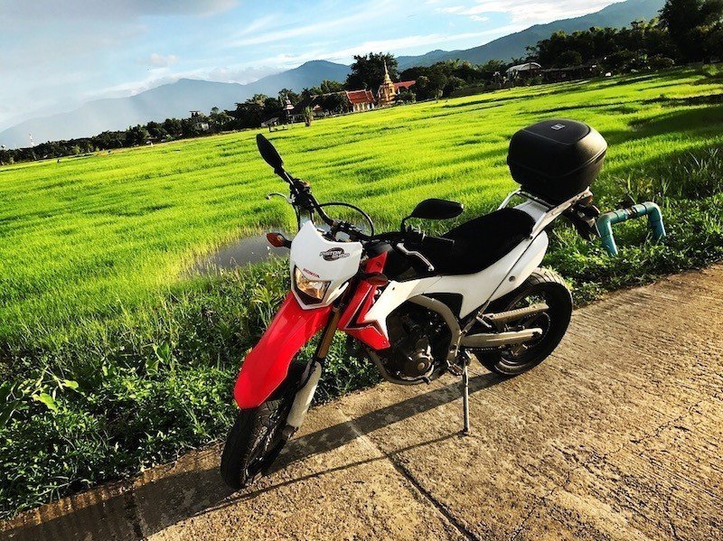 honda-big-bike-rice-field-northern-thailand