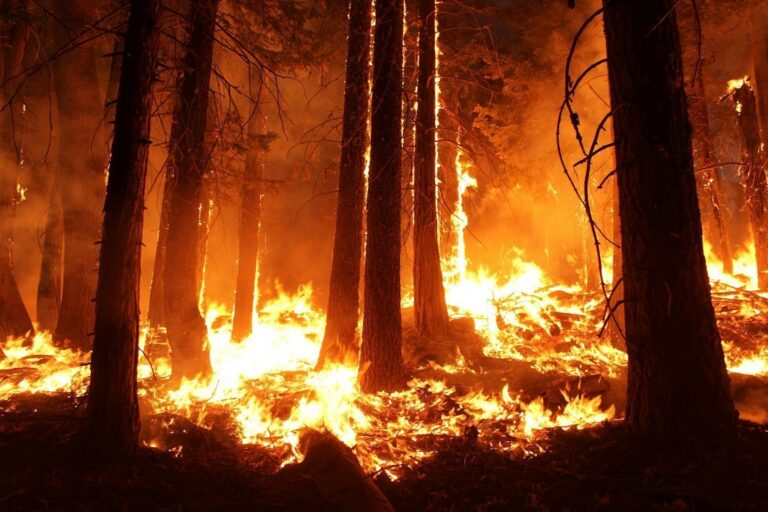 Chiang Mai's Burning Season Survey Results 2018
