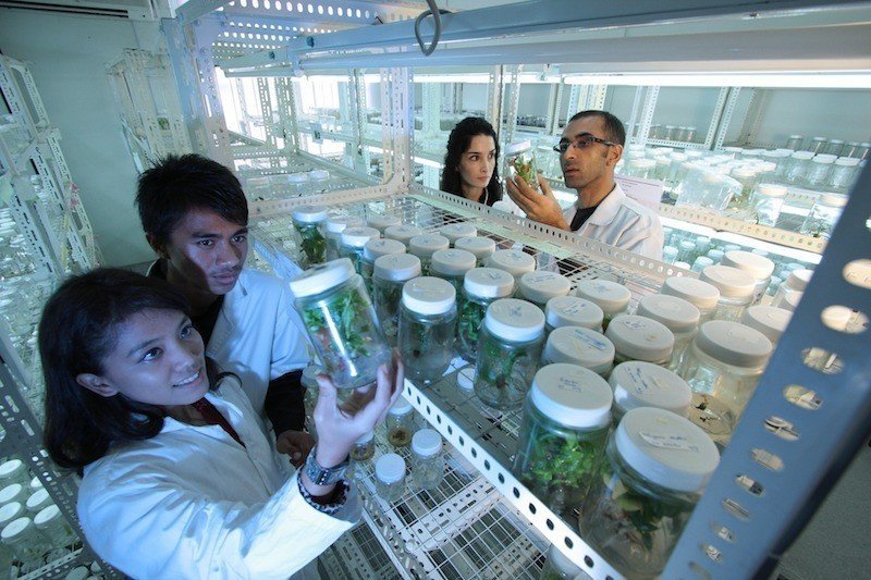 thailand-scientists-research