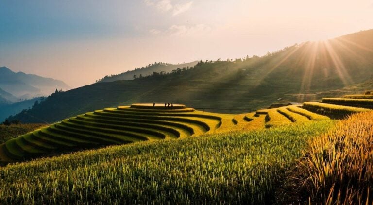 Tu Lu Terrace Rice Fields vietnam