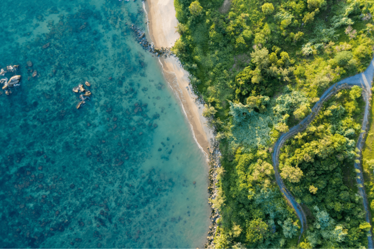 Vibrant spans of nature bathed in sunlight and blending from land into sea from an overhead view